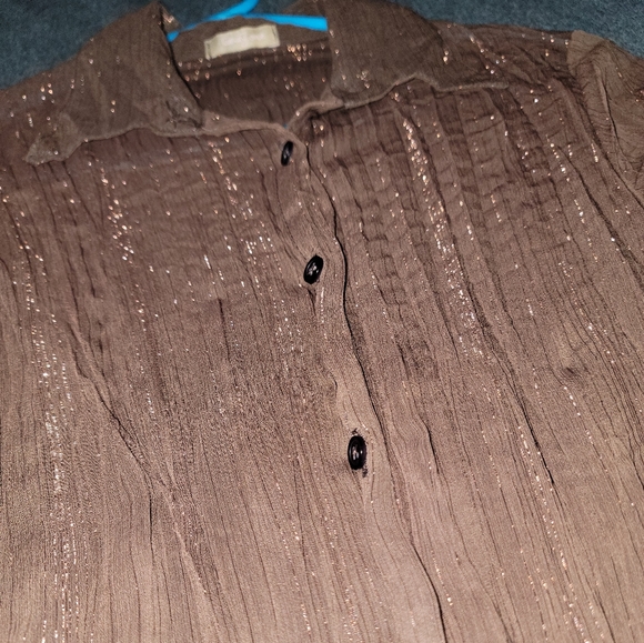 Forever Twenty One Sparkle Button Up Blouse - Medium - Brown !OOB END SALE! - Picture 4 of 5